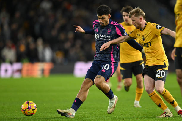 中国男排集 中国男排集