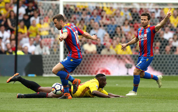 迷的关注 迷的关注